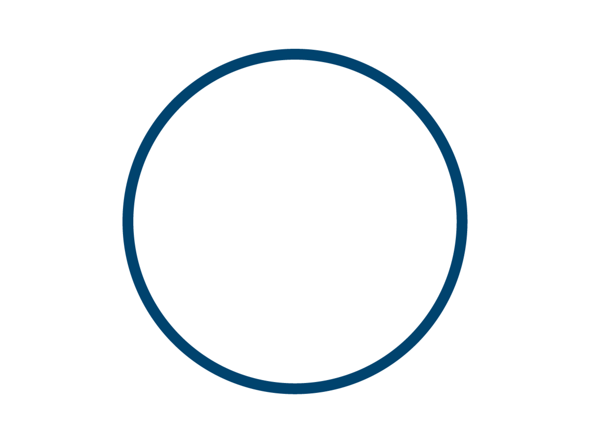 Turnaround and Project Management Consulting