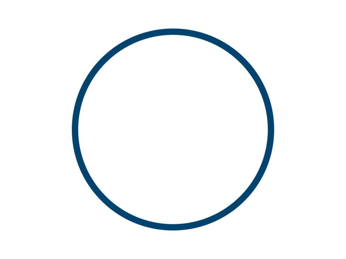 Project Managment Mentoring and Instruction