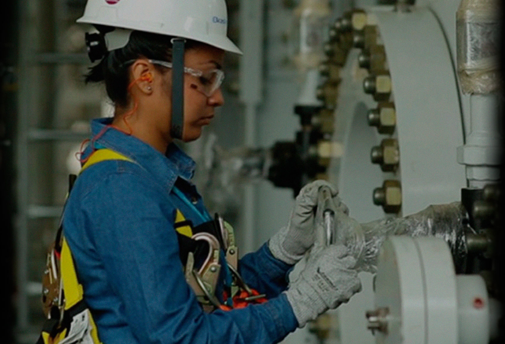 Project Managment Mentoring and Instruction